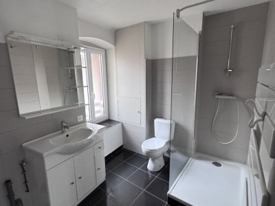 IMMEUBLE DE RAPPORT A VENDRE - FEURS - 430 m2 - 365 000 &euro;