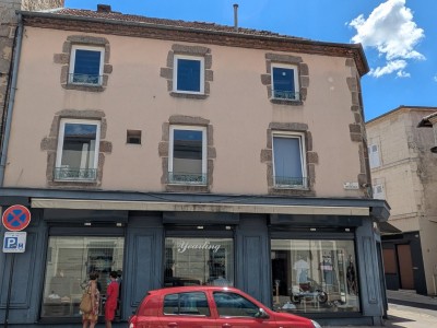 IMMEUBLE DE RAPPORT A VENDRE - FEURS - 430 m2 - 365 000 &euro;