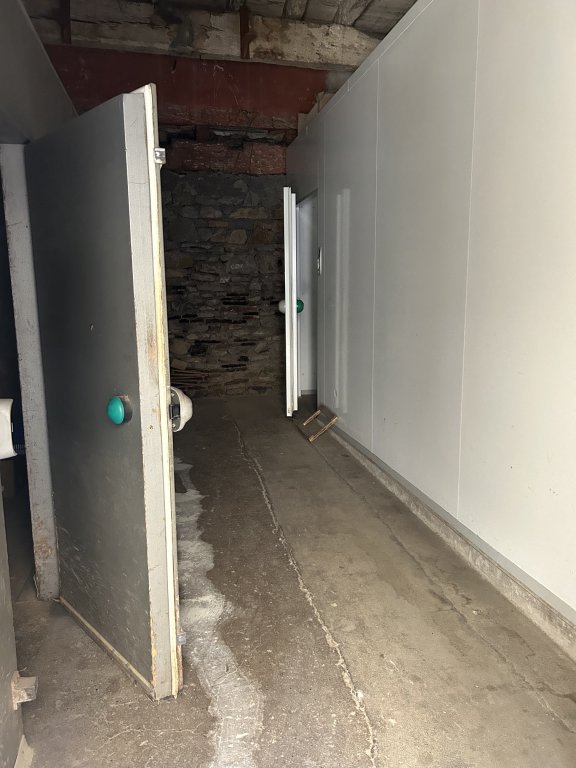 LOCAL COMMERCIAL A LOUER - CHAZELLES SUR LYON - 3 550 &euro; HC par mois