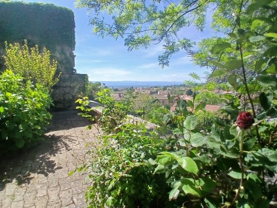 MAISON A VENDRE - ROZIER EN DONZY - 309.17 m2 - 185 000 €