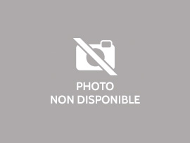 STUDIO A LOUER - ST SYMPHORIEN SUR COISE - 31.4 m2 - 490 &euro; charges comprises par mois