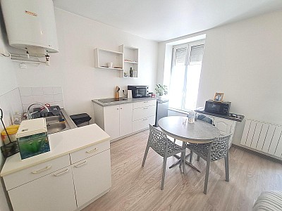 STUDIO A LOUER - CHAZELLES SUR LYON - 28.95 m2 - 400 € charges comprises par mois