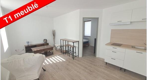 STUDIO A LOUER - ST SYMPHORIEN SUR COISE - 31.4 m2 - 490 &euro; charges comprises par mois