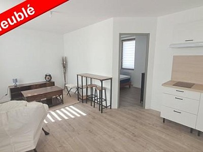 STUDIO A LOUER - ST SYMPHORIEN SUR COISE - 31.4 m2 - 490 € charges comprises par mois