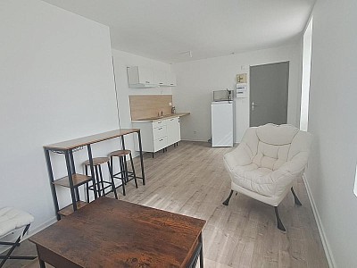 STUDIO A LOUER - ST SYMPHORIEN SUR COISE - 31.4 m2 - 490 € charges comprises par mois