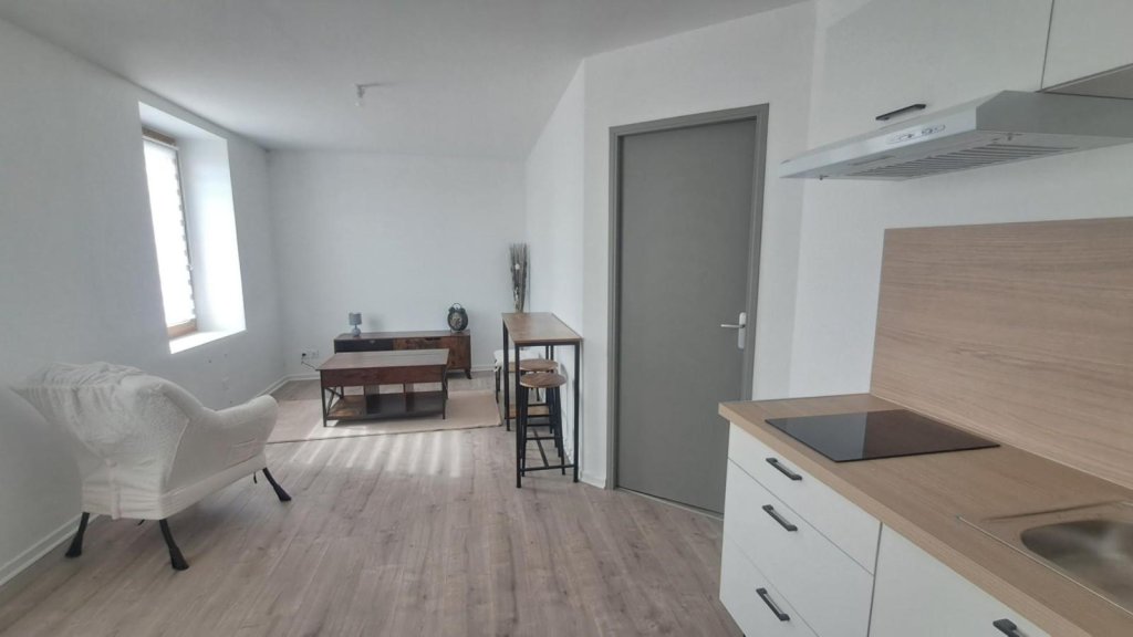 STUDIO A LOUER - ST SYMPHORIEN SUR COISE - 31.4 m2 - 490 &euro; charges comprises par mois