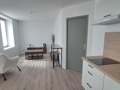 STUDIO A LOUER - ST SYMPHORIEN SUR COISE - 31.4 m2 - 490 € charges comprises par mois