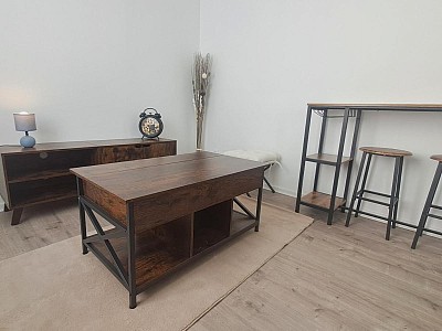 STUDIO A LOUER - ST SYMPHORIEN SUR COISE - 31.4 m2 - 490 € charges comprises par mois