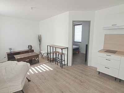 APPARTEMENT T1 A LOUER - ST SYMPHORIEN SUR COISE - 31.4 m2 - 490 € charges comprises par mois