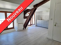 APPARTEMENT T2 A LOUER - ST SYMPHORIEN SUR COISE - 35.3 m2 - 375 € charges comprises par mois