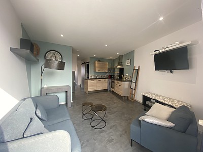 APPARTEMENT T3 A LOUER - MONTBRISON - 52.14 m2 - 590 € charges comprises par mois